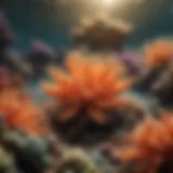 A vibrant coral reef showcasing various animal adaptations in aquatic life.