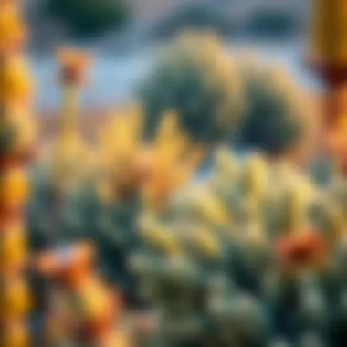 An Exploration of Native California Bushes Introduction An Exploration of Native California Bushes Introduction