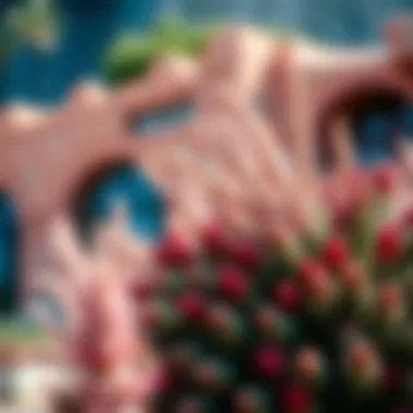 An Exploration of Native California Bushes Summary
