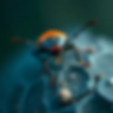 An In-Depth Exploration of Rove Beetles Summary An In-Depth Exploration of Rove Beetles Summary
