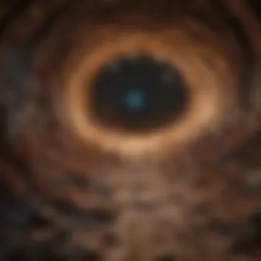 A close-up view of an ant colony showcasing intricate tunnels.