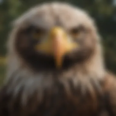 Artistic representation of a bald eagle in Native American culture