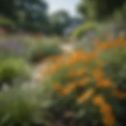 A vibrant garden filled with bee-friendly annual plants attracting pollinators.
