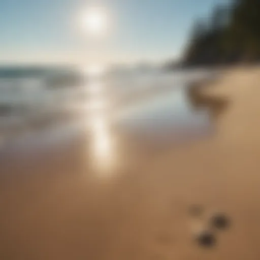 A serene beach in Maine with clear blue waters and golden sand.