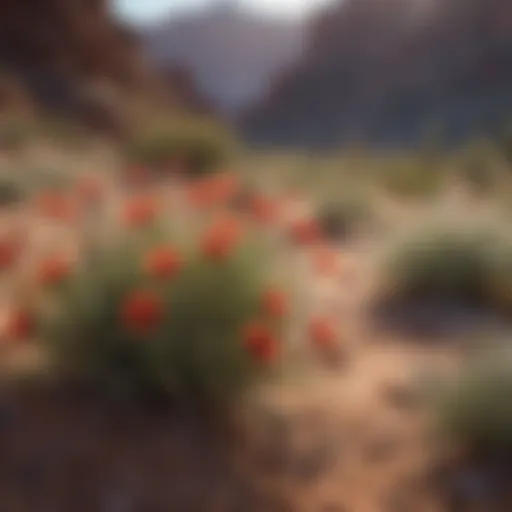 Vibrant desert wildflowers in bloom