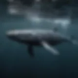 Humpback whale diving gracefully into the depths of the ocean