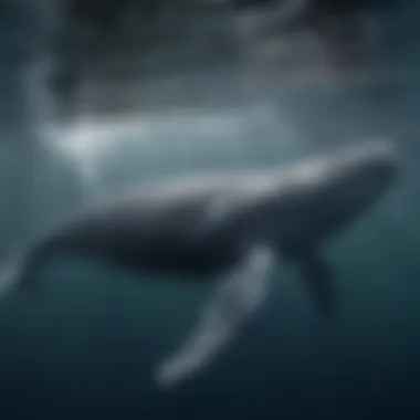 An underwater view showcasing the physiological adaptations of humpback whales