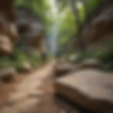 Hikers exploring scenic trails amidst stunning rock formations