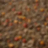 Close-up view of chewy Oxbow rabbit food showcasing its texture and ingredients