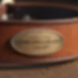 Close-up of a high-quality leather dog collar with a name plate