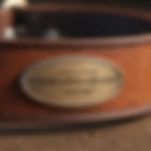 Close-up of a high-quality leather dog collar with a name plate