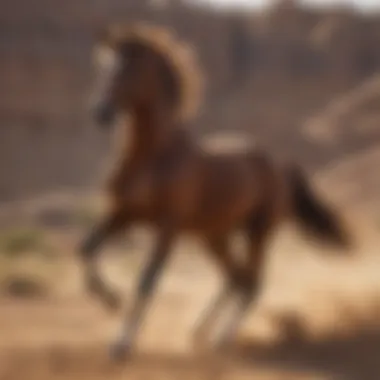 Majestic Arabian horse galloping across the desert