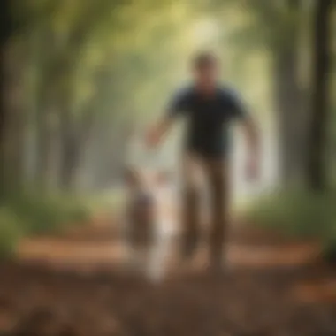 Joyful Playtime: Fetch with Your Dog A joyful dog playing fetch with its owner