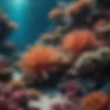 Coral reef habitat showcasing diverse marine life
