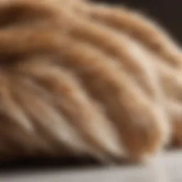 Close-up of deshedding glove in use on a cat's fur