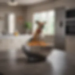 Elevated dog bowl in a modern kitchen setting