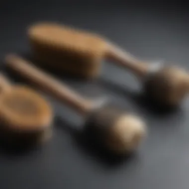 Diverse Grooming Brushes A collection of grooming brushes for different dog coat types