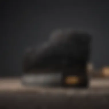 Essential Grooming Combs Grooming combs arranged by size and teeth spacing
