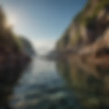 Marine Life along European Shores A coastal view featuring marine biodiversity along a European shoreline.