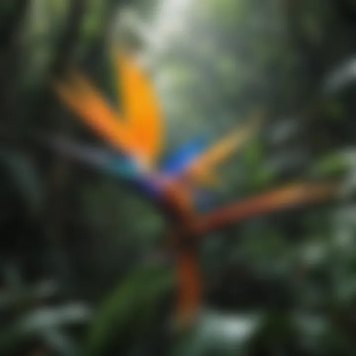 A vibrant bird of paradise displaying its colorful plumage in a lush rainforest setting.