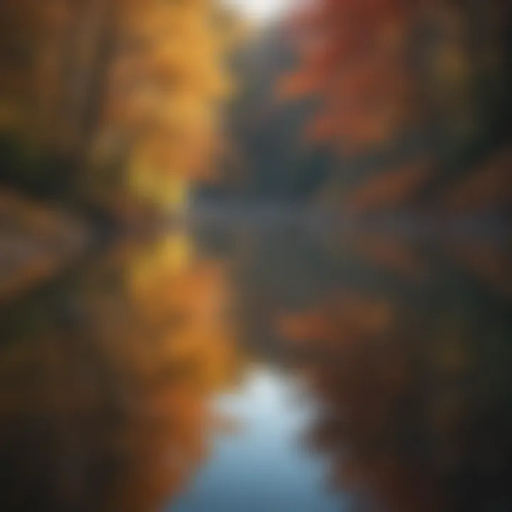 A serene lake surrounded by autumn foliage in Blue Ridge Parkway