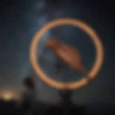 Modern interpretations of astronomy signs influencing personal identity