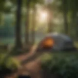 A serene view of a Pennsylvania state park campsite surrounded by lush trees.