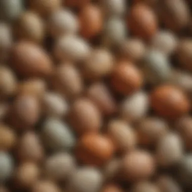 A collage of popular media representations of dinosaur eggs in literature and film.
