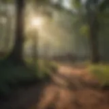 A panoramic view of a Revolutionary War battlefield