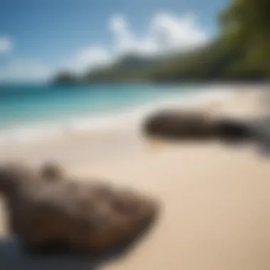 U.S. Virgin Islands: Coastal Beauty Stunning coastline of the U.S. Virgin Islands featuring white sandy beaches and clear blue skies