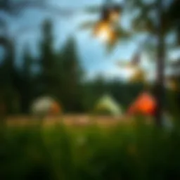 Exploring Michigan's Top Camping Destinations Introduction