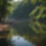 Serene river view with anglers casting lines