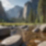 Stunning view of Yosemite Valley with granite cliffs