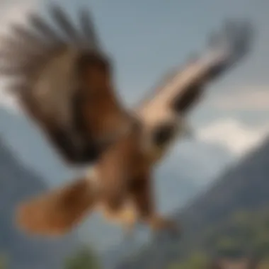 A hawk soaring in the sky, symbolizing natural predation.