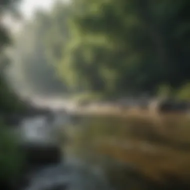 Picturesque River Scene in Virginia Expansive river surrounded by lush greenery