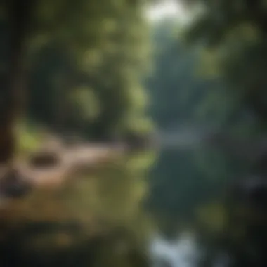 Hidden Cove Offering Secluded Fishing Opportunities A hidden fishing cove nestled among the trees