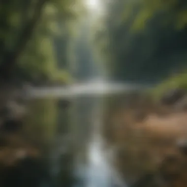 Picturesque River with Abundant Aquatic Life A picturesque river teeming with fish and surrounded by greenery