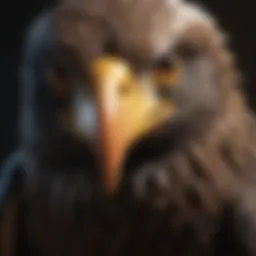 Detailed anatomy of an eagle showcasing its wings and beak structure