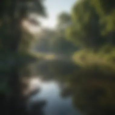 Serene lake surrounded by lush greenery in Nebraska