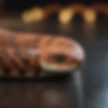 Comparison chart of top snake guard products