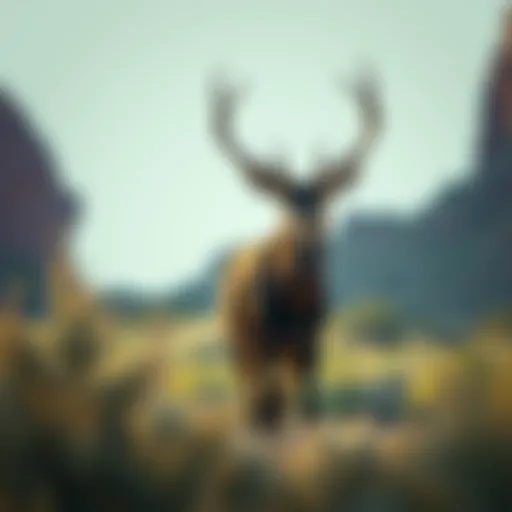 Exploring the Complex Ecosystem of Nevada's Wildlife Introduction