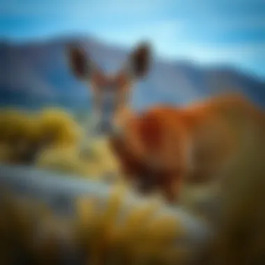 Notable Exploring the Complex Ecosystem of Nevada's Wildlife Notable Exploring the Complex Ecosystem of Nevada's Wildlife