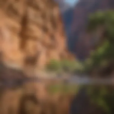 Conservation Efforts at the Grand Canyon Conservation efforts in action to protect the Grand Canyon's environment