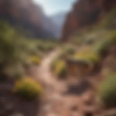 Diverse flora and fauna thriving in the Grand Canyon ecosystem