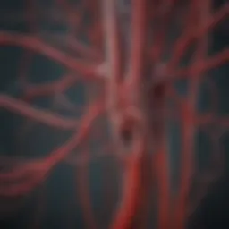 Intricate Diagram of the Circulatory System