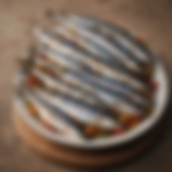 An array of delicious sardine dishes