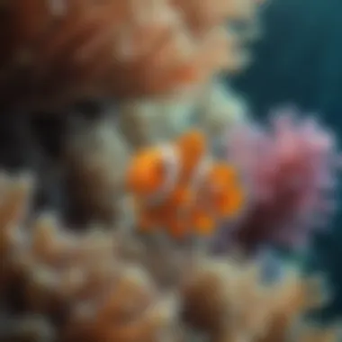 Vibrant Clownfish in Marine Habitat Colorful Clownfish in a Coral Reef