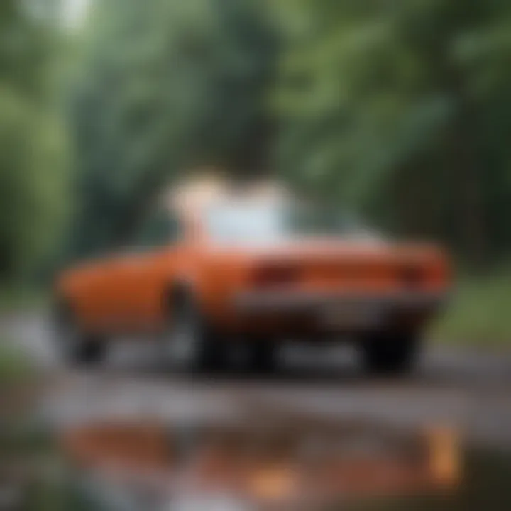 Safety considerations for vehicle users