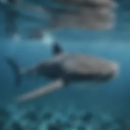 A breathtaking view of a whale shark swimming gracefully in clear blue waters