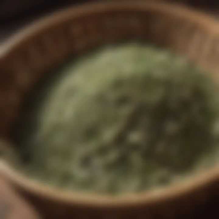 Harvested catnip being dried in a basket